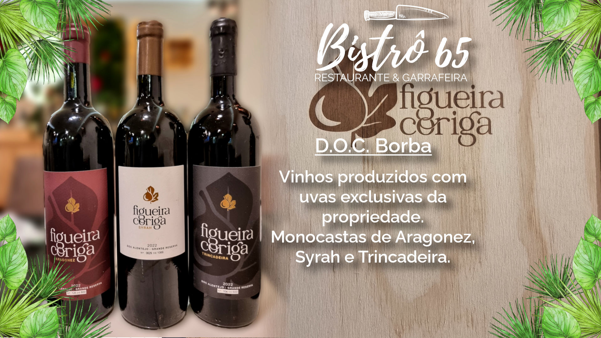 Vinhos Figueira Coriga